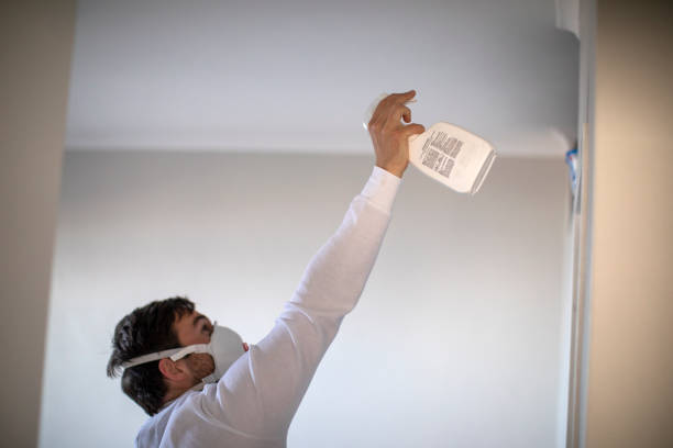 Best Affordable Mold Removal  in Timonium, MD