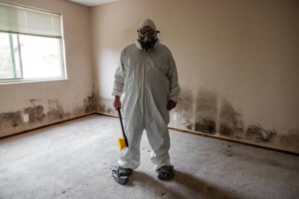 Water Damage Restoration in Timonium, MD